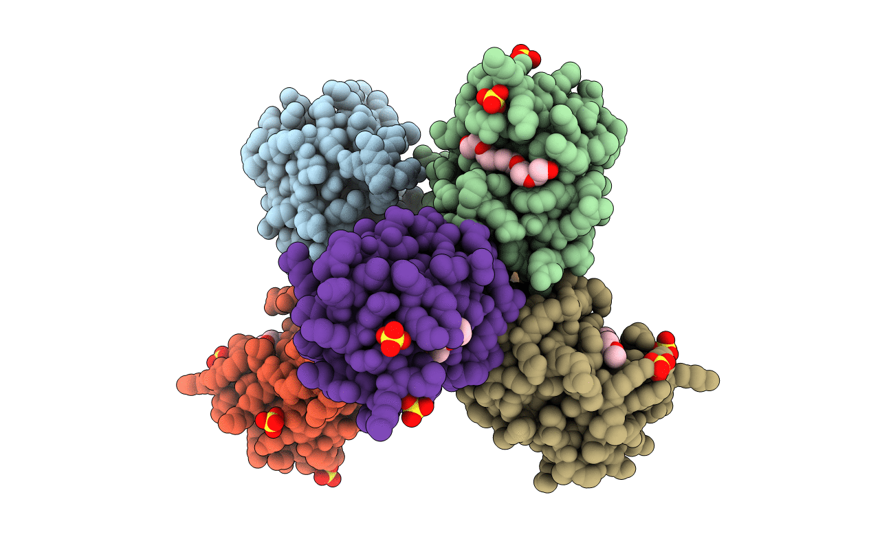 7JXR image