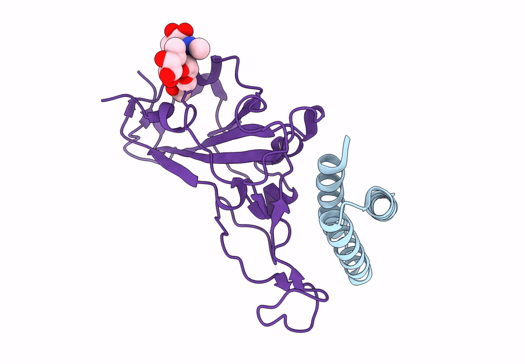 7JZM image
