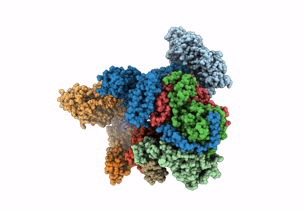 7K04 image