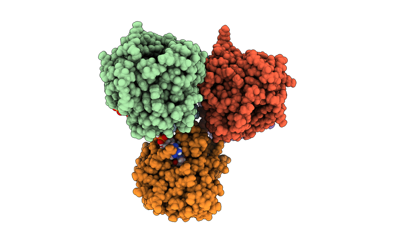 7K09 image