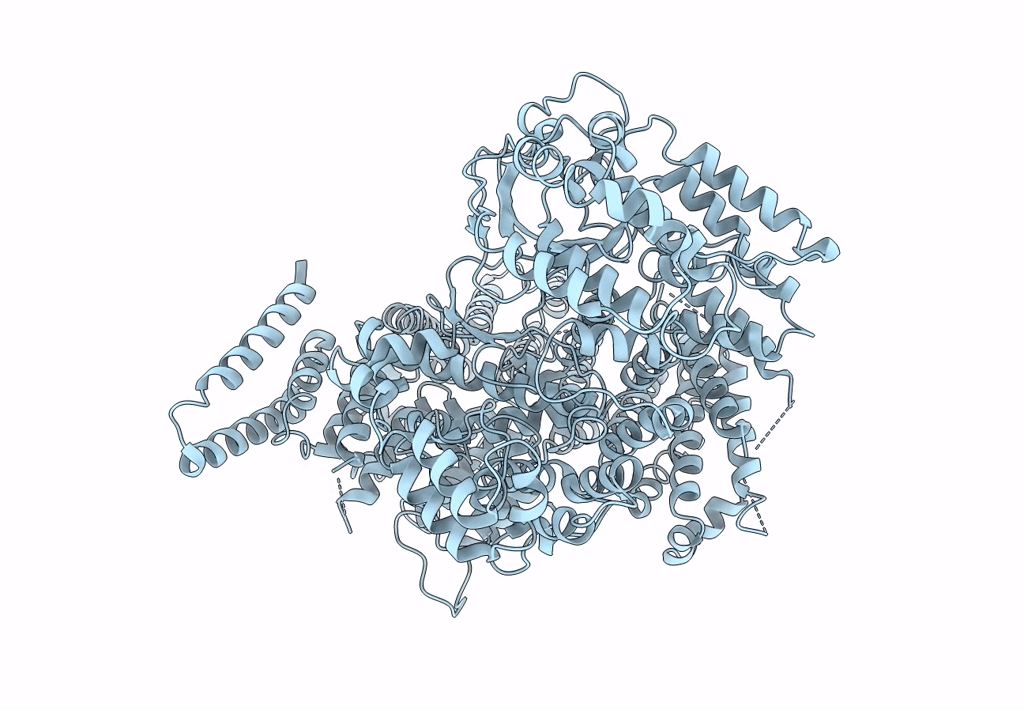 7K11 image