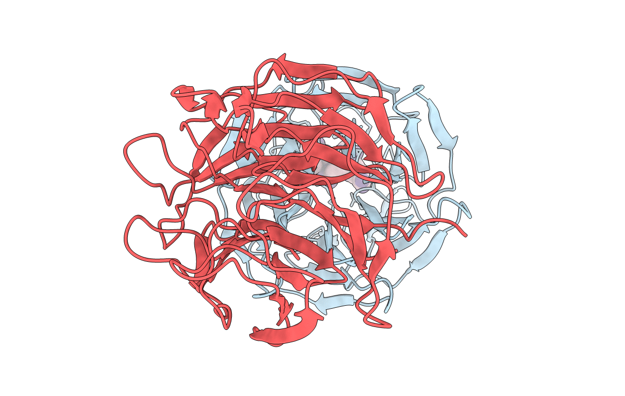 7K2L image