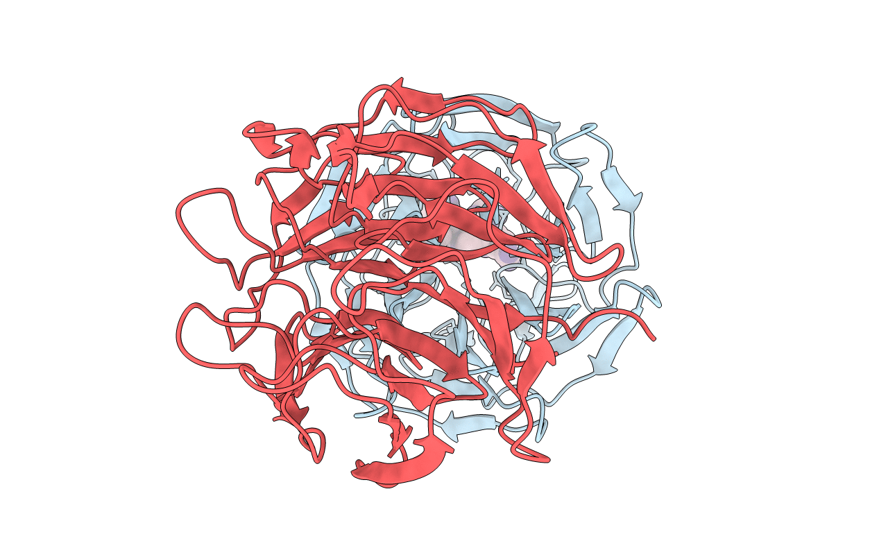 7K2M image