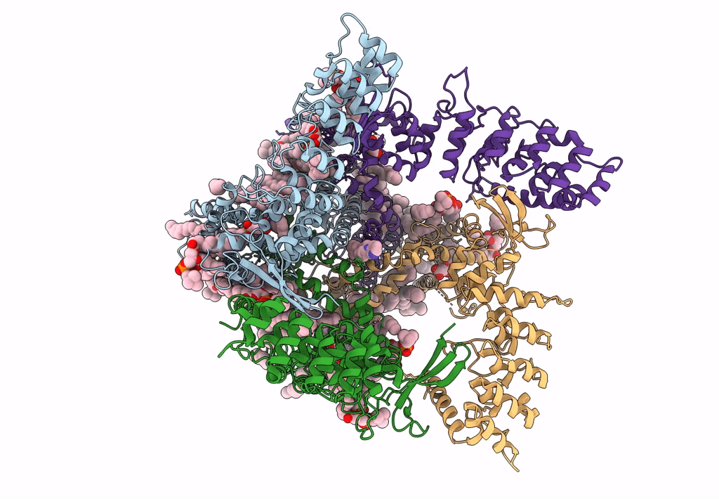 7K4B image