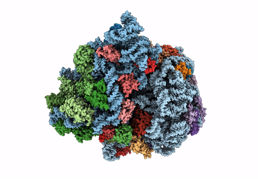 7K51 image