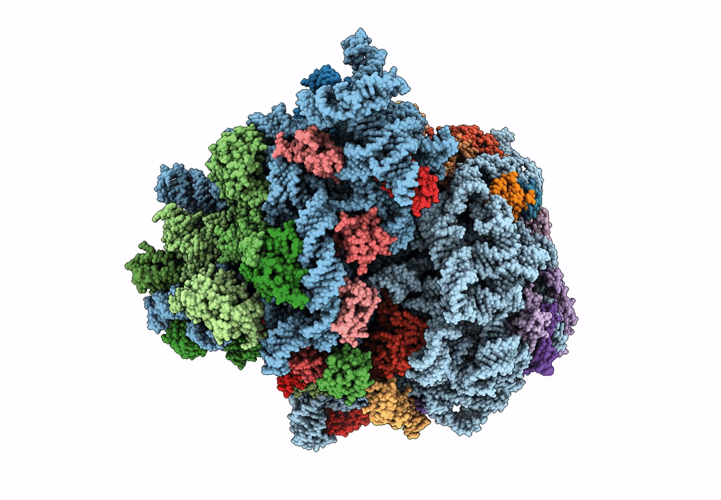 7K52 image
