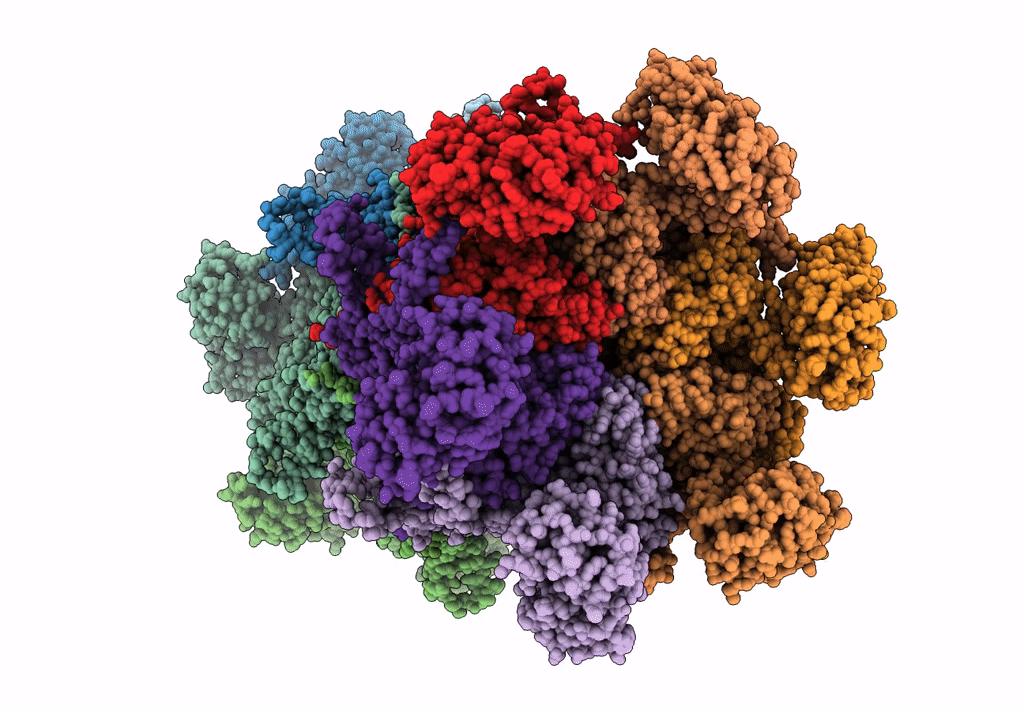 7K56 image