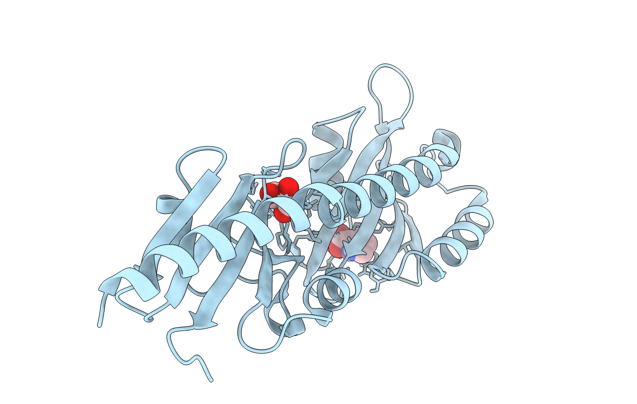 7K5N image