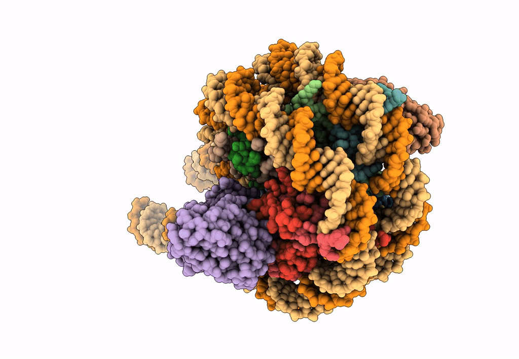 7K5X image