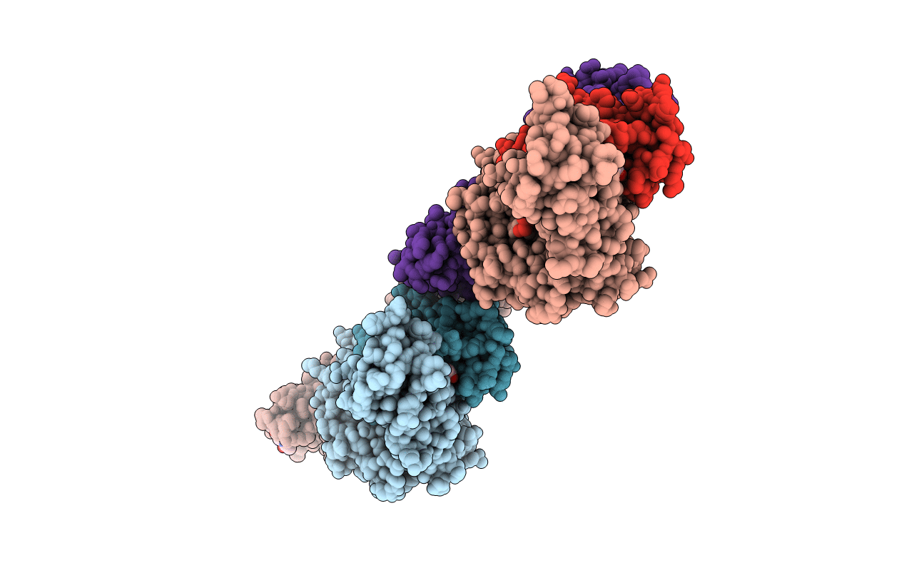 7K80 image
