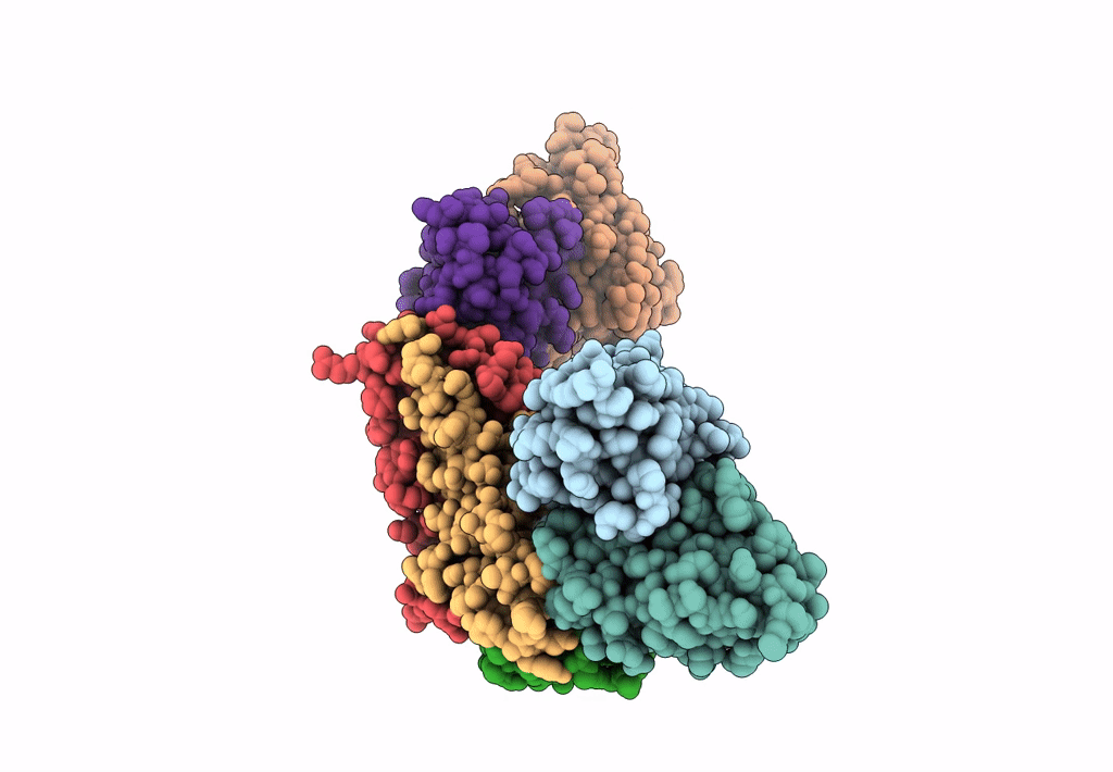 7KBB image