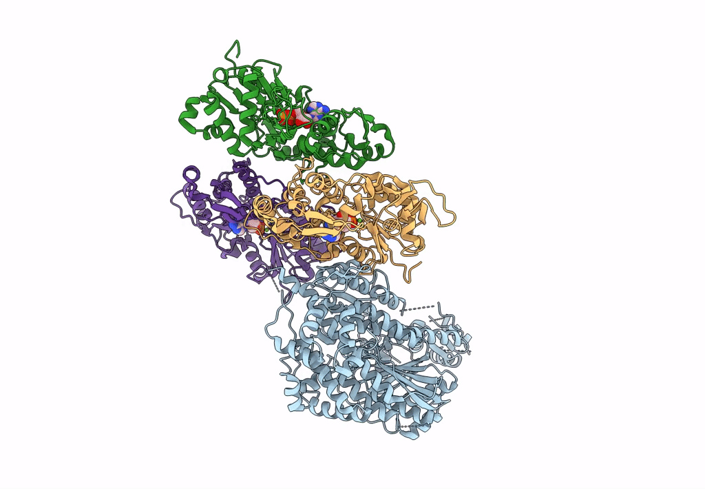 7KCH image