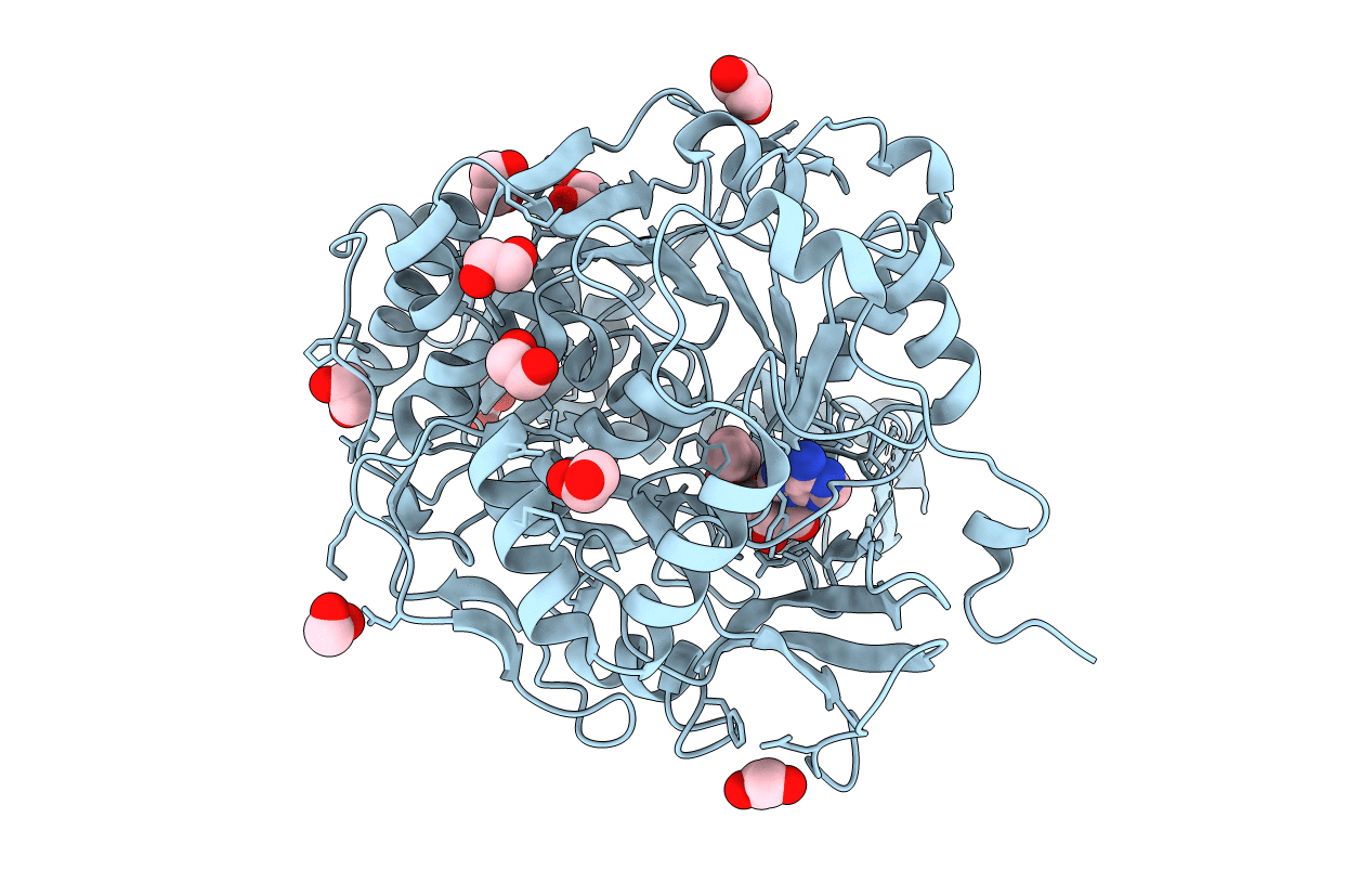 7KCP image