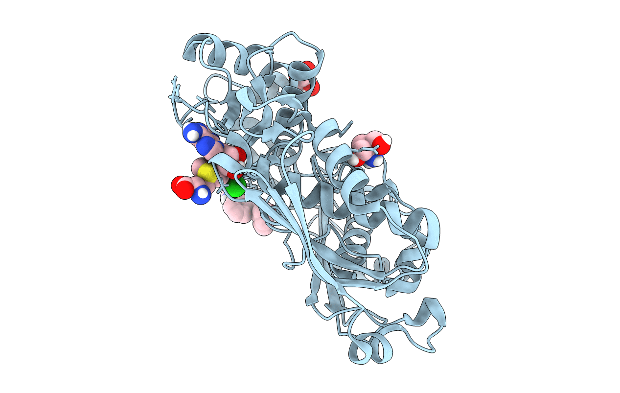 7KDA image