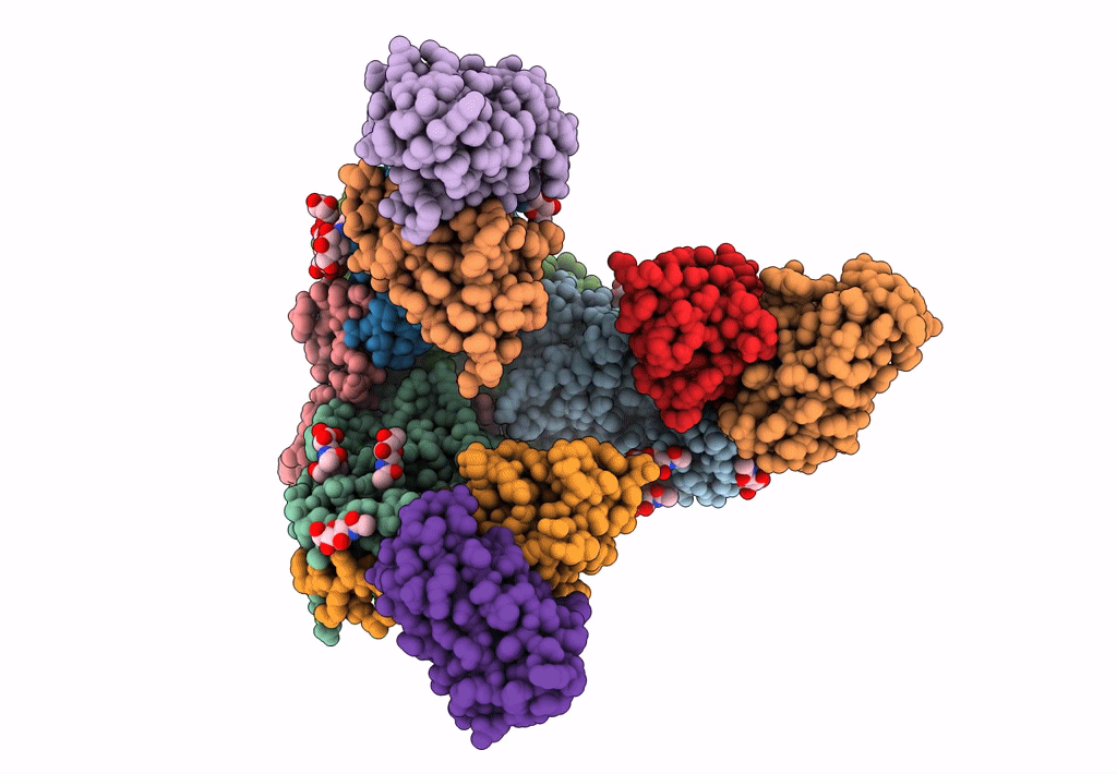 7KFH image