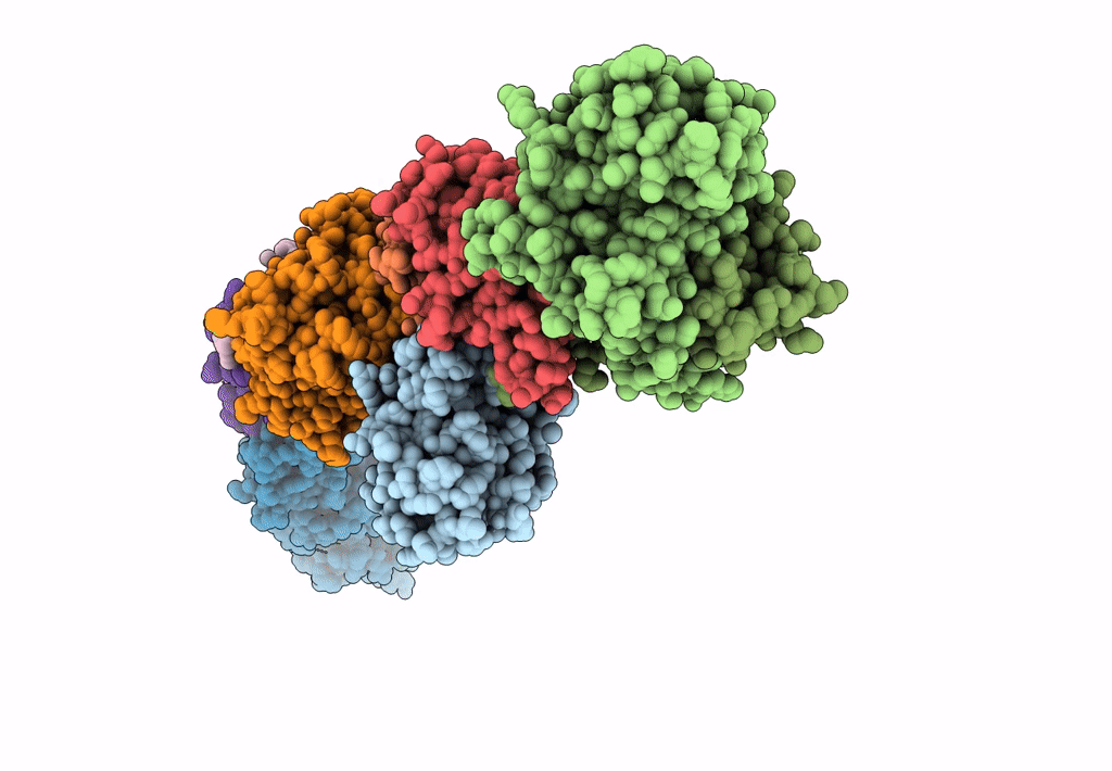 7KMT image