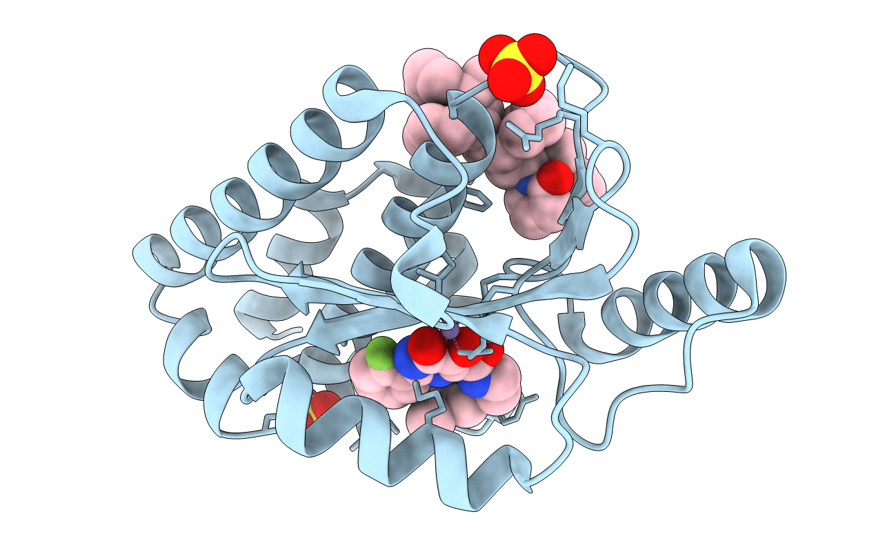 7KNY image