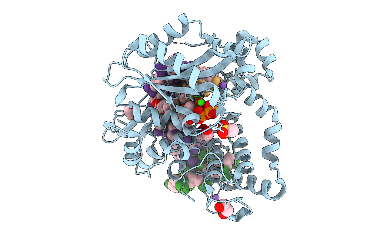 7KSS image