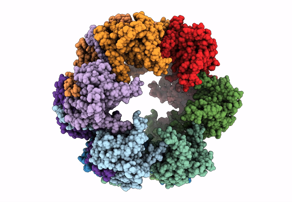 7KVD image