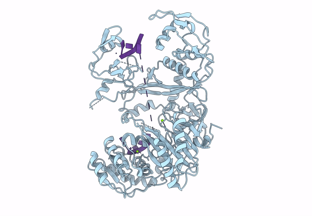 7KX7 image