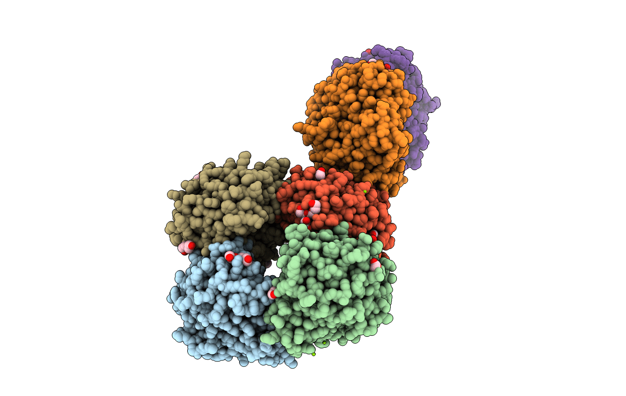 7KXG image