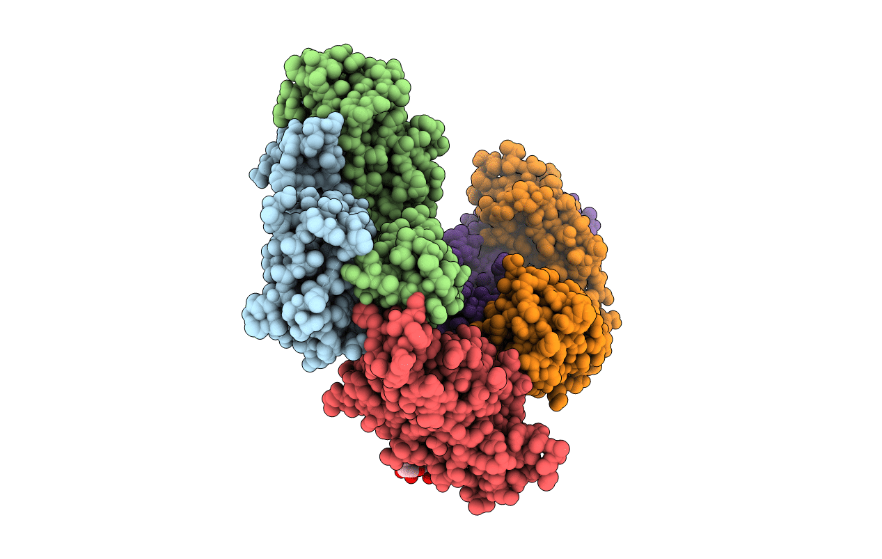 7KZB image