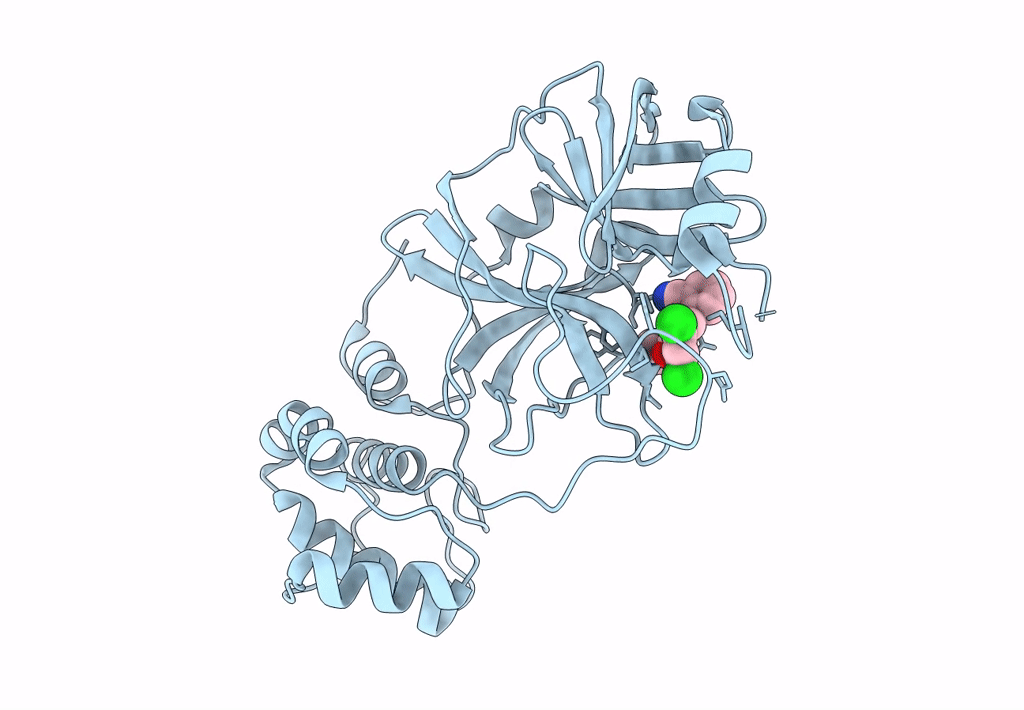 7L10 image