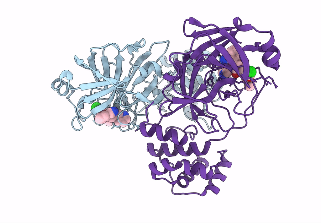 7L11 image