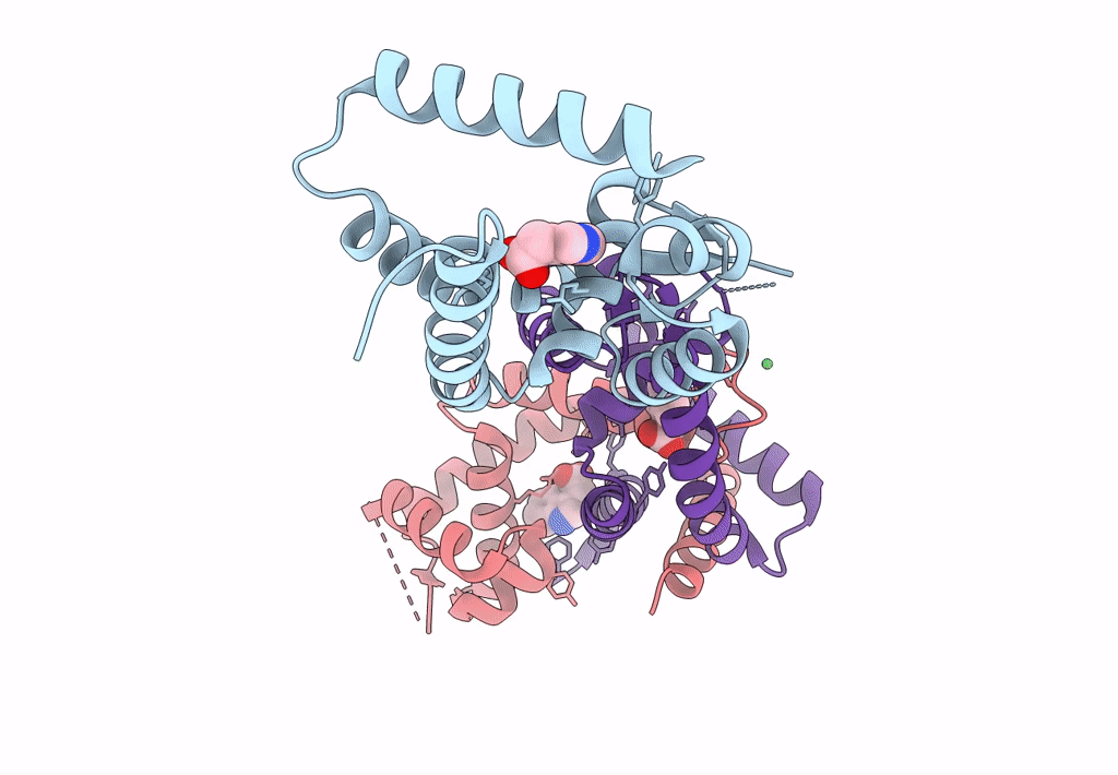 7L19 image