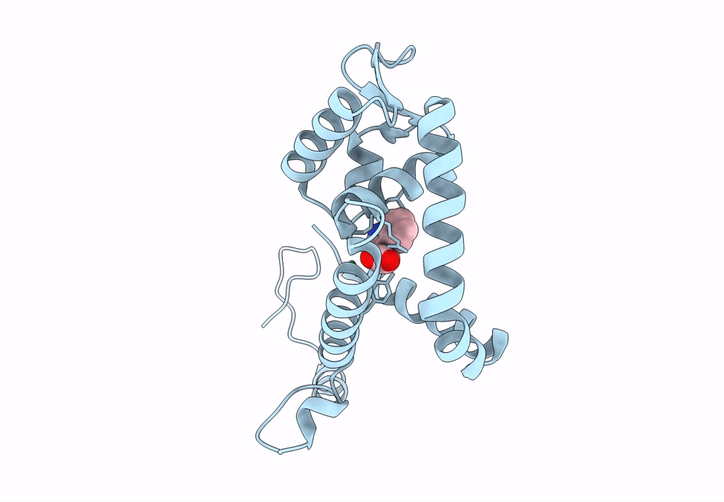 7L1I image