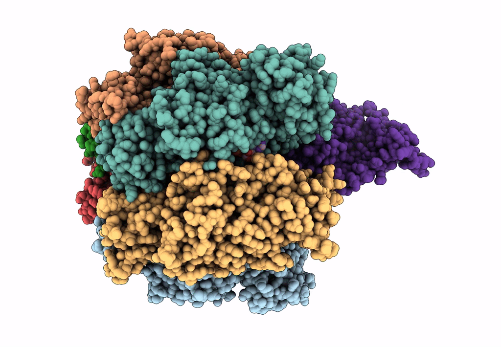 7L1R image
