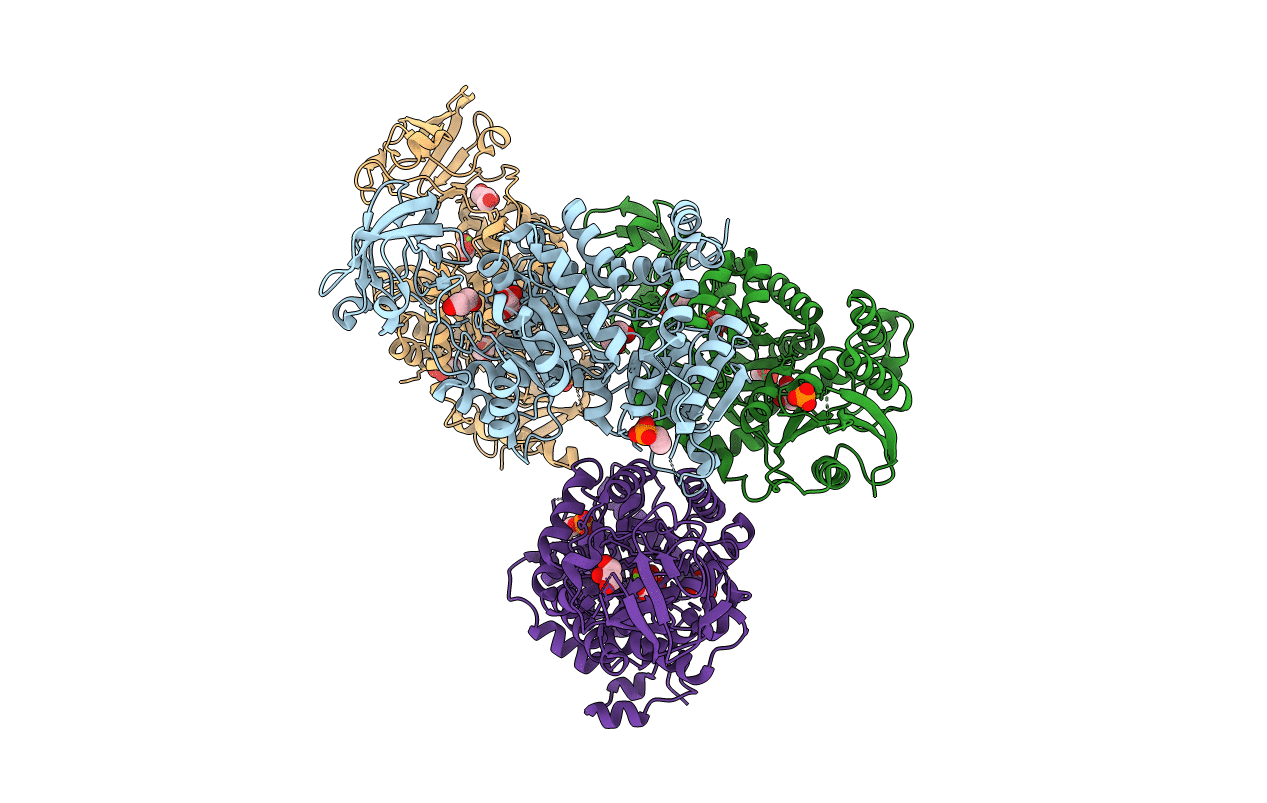 7L21 image