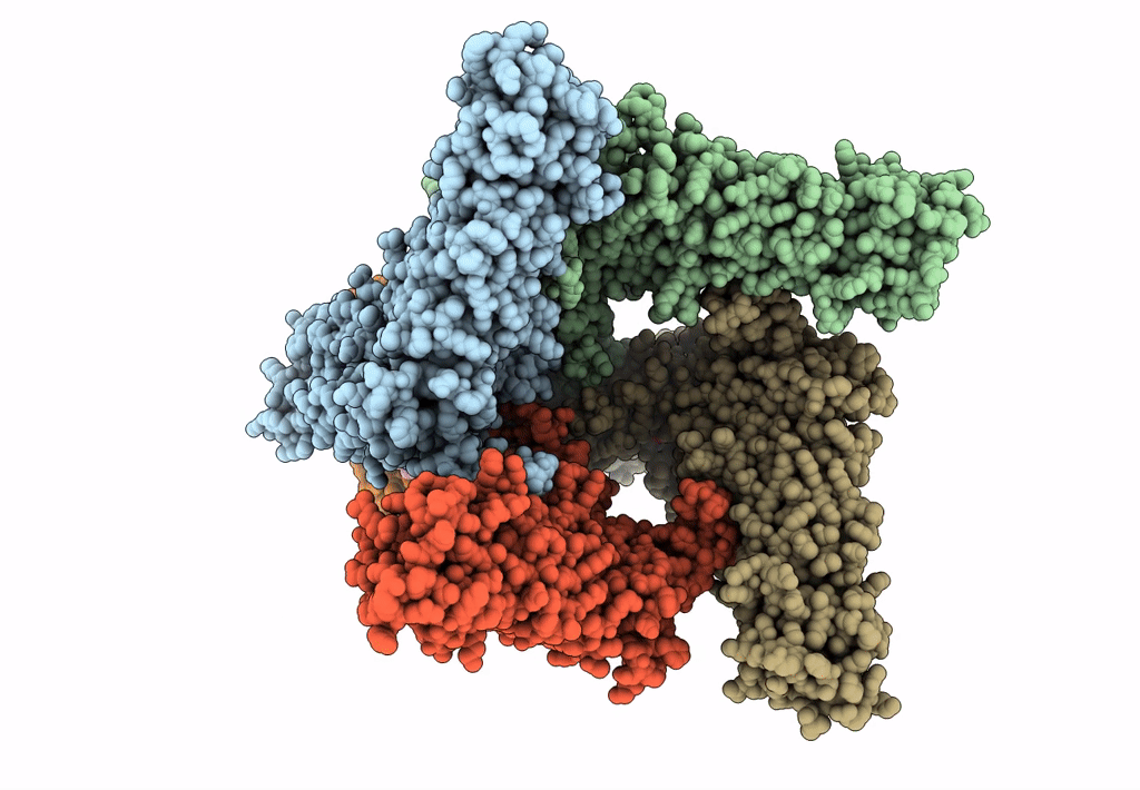 7L2R image