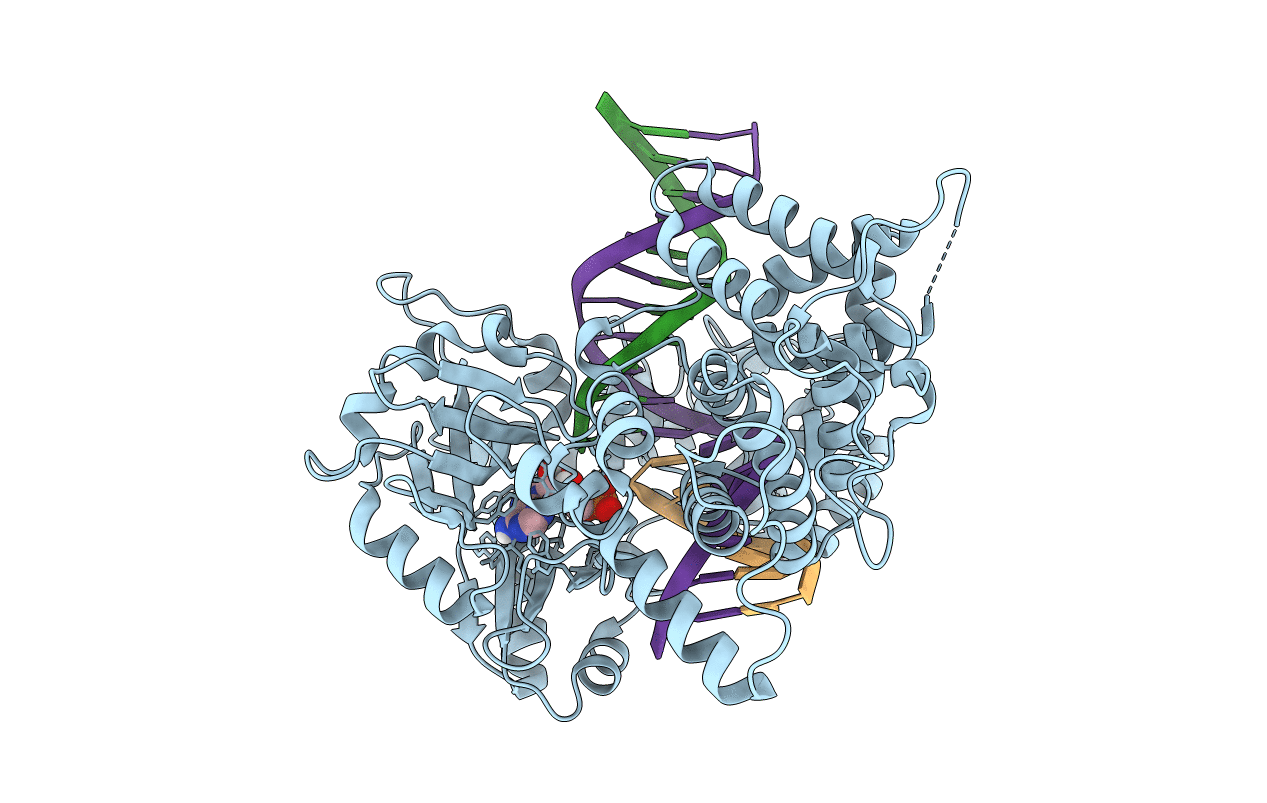 7L34 image