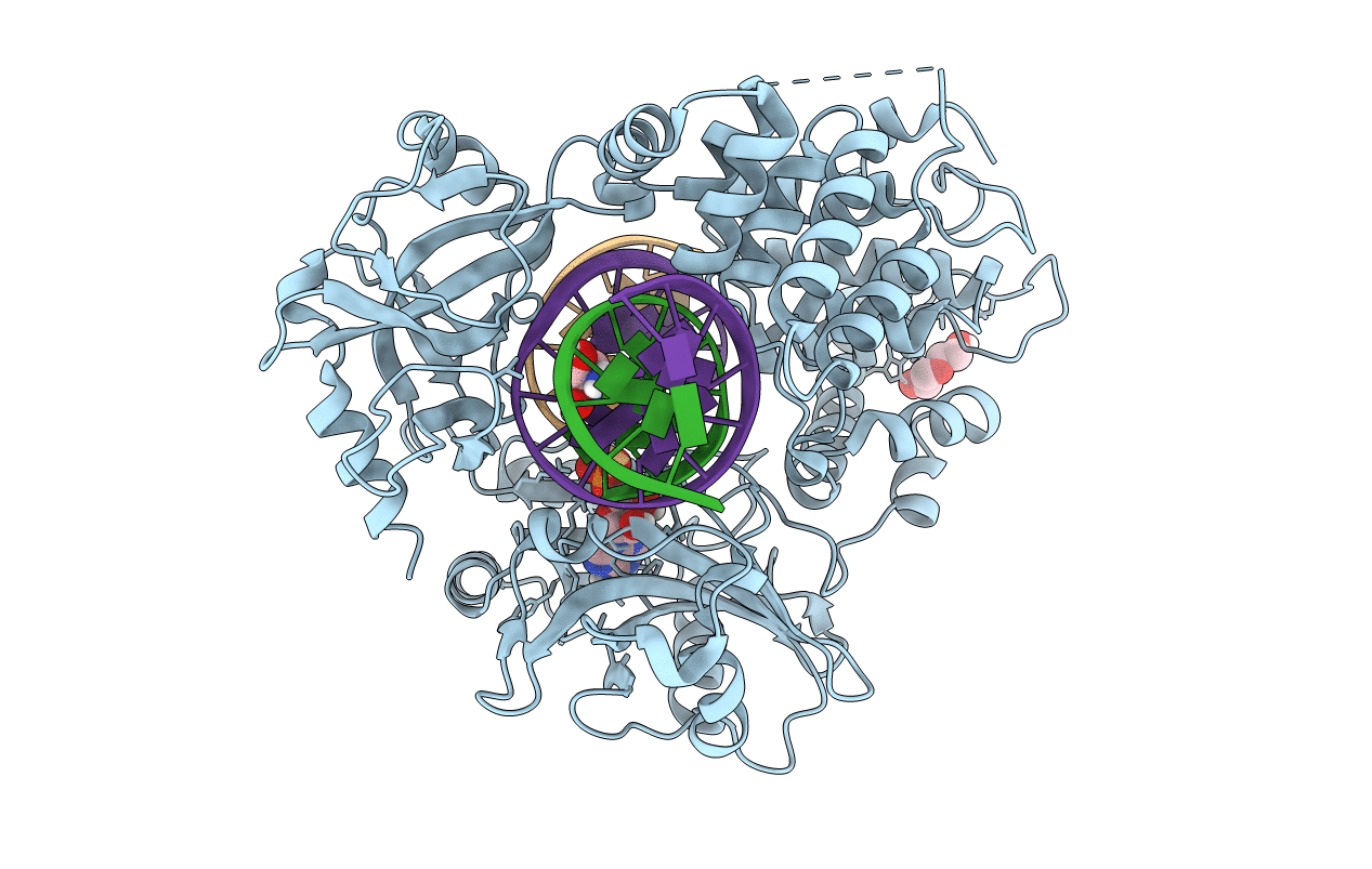 7L35 image