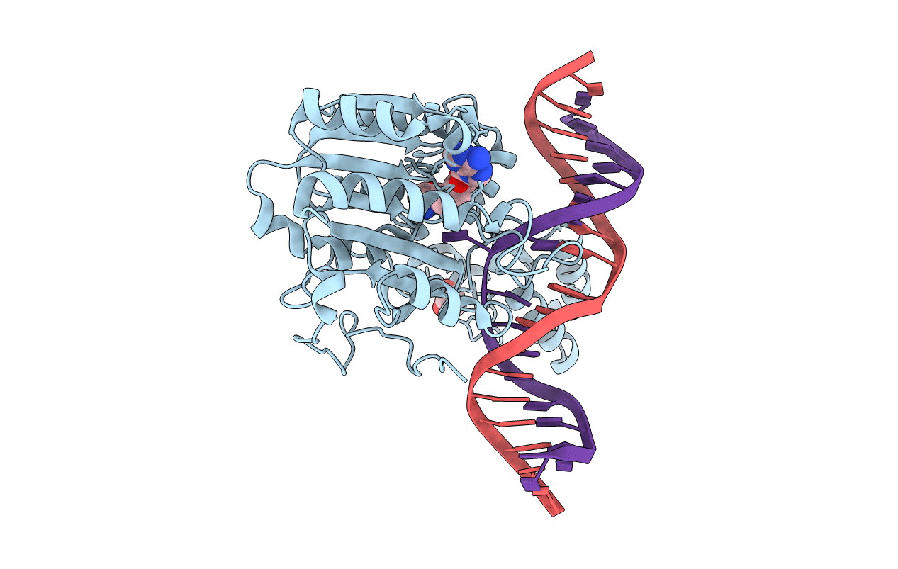 7L4N image