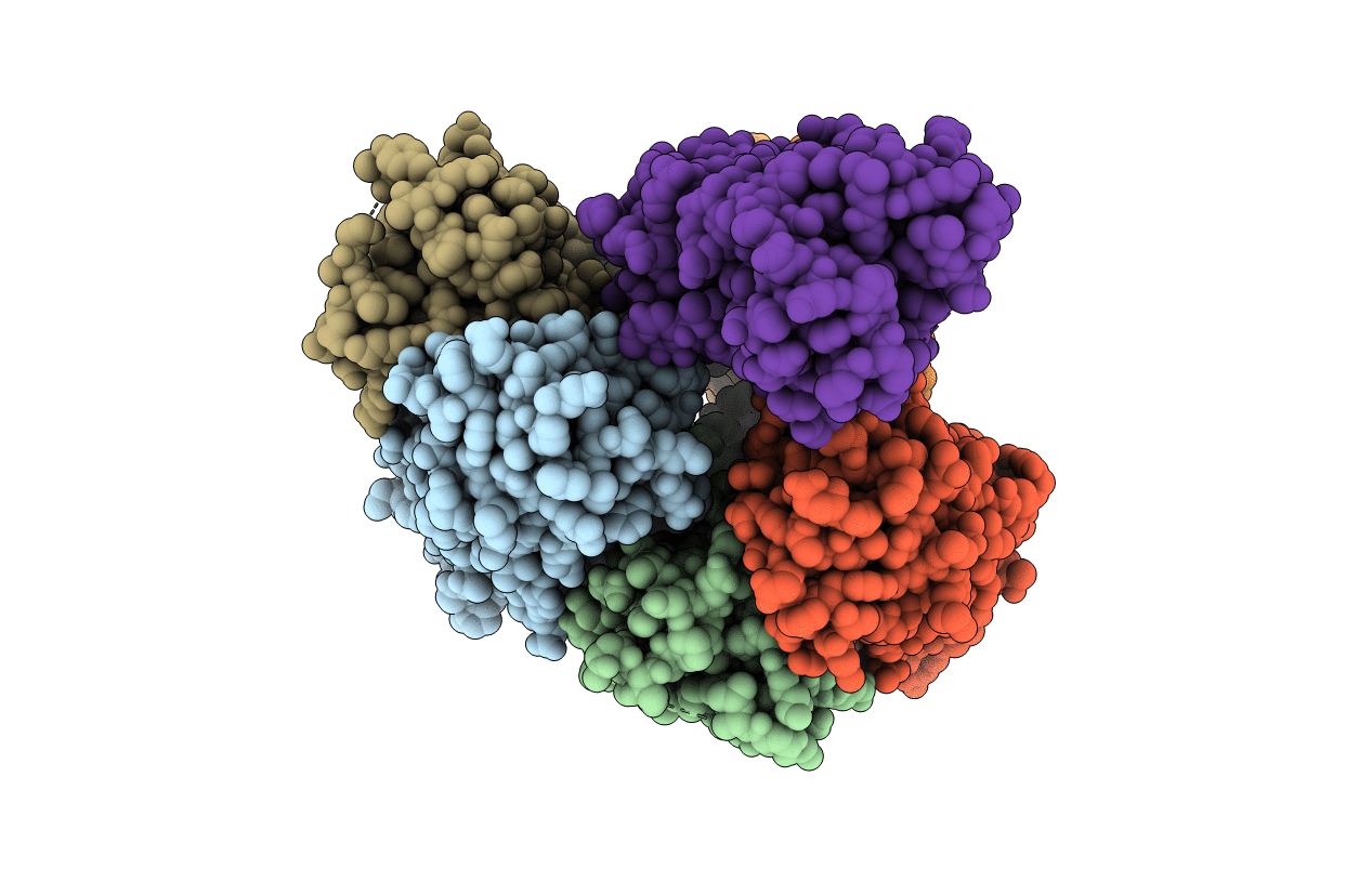 7L4S image