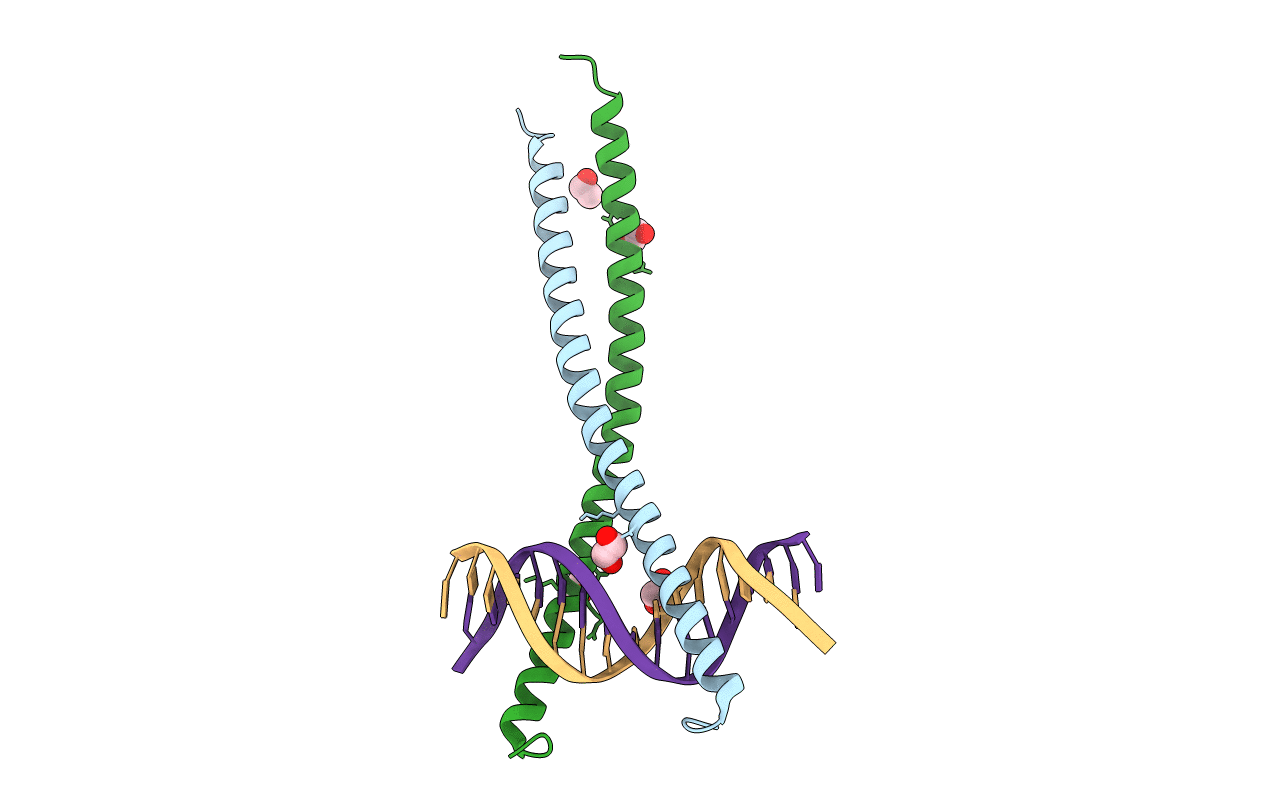 7L4V image