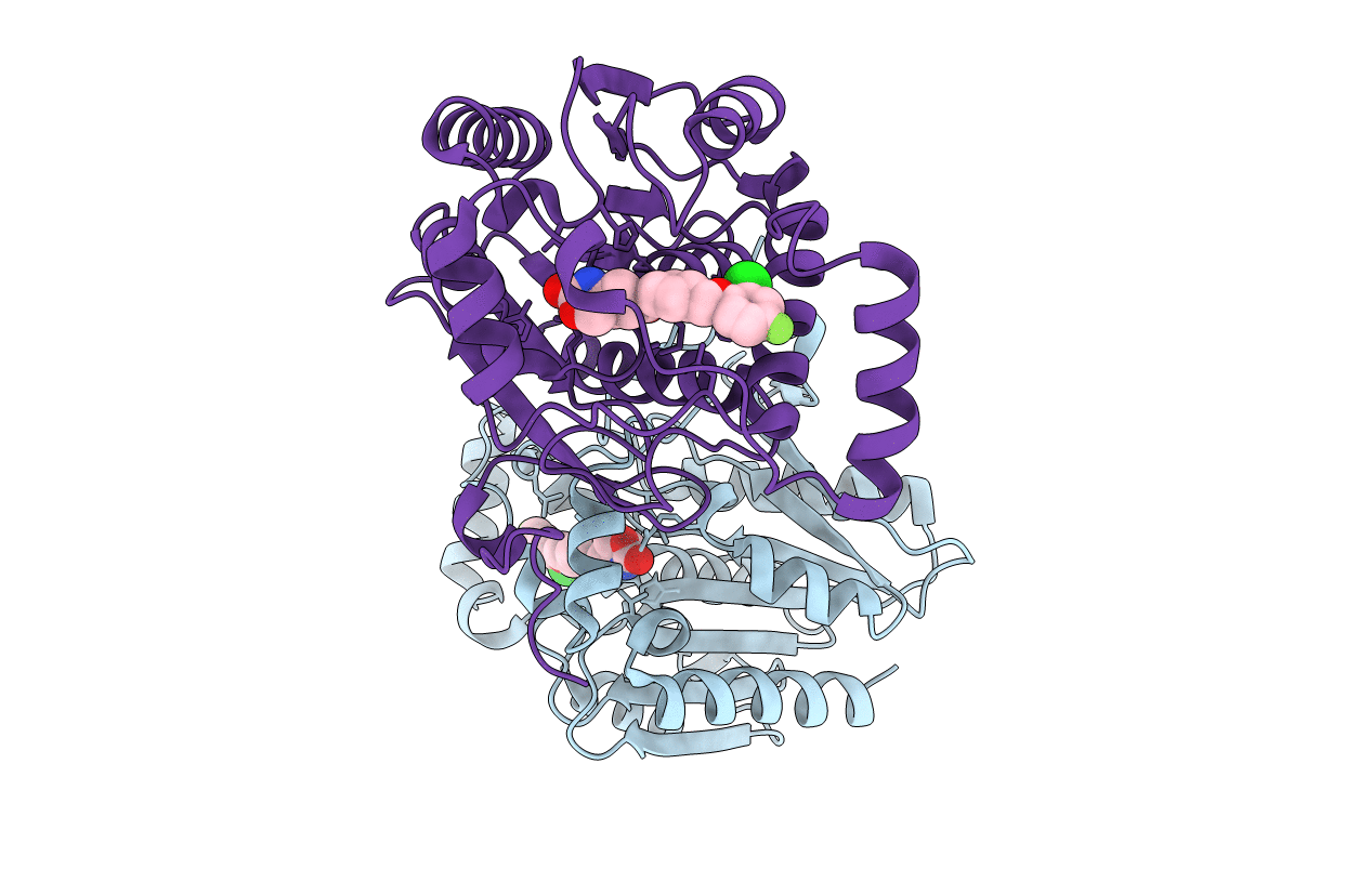 7L4W image