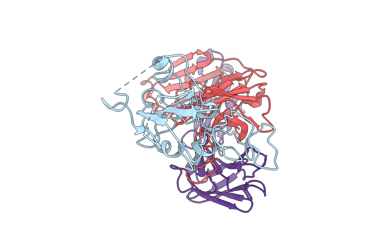 7L5B image