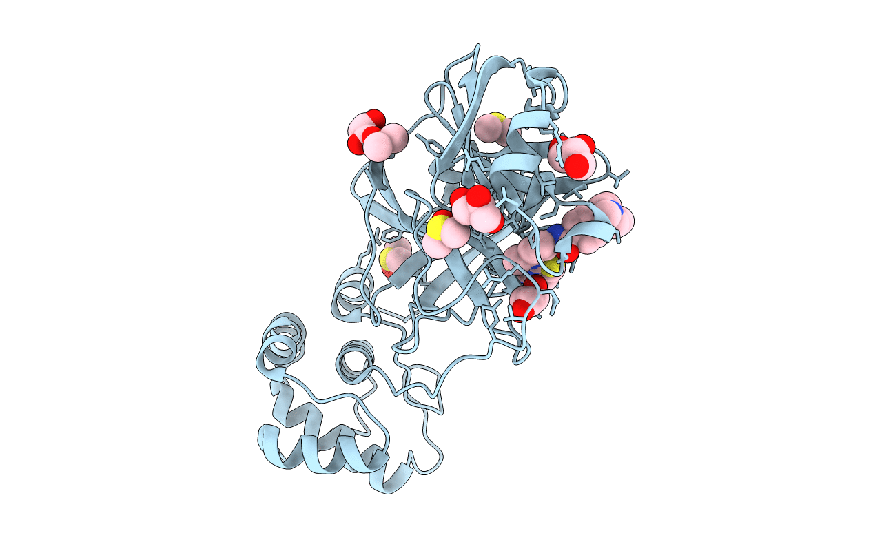 7L5D image