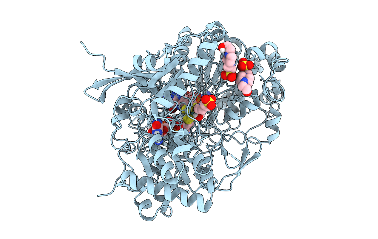 7L5I image