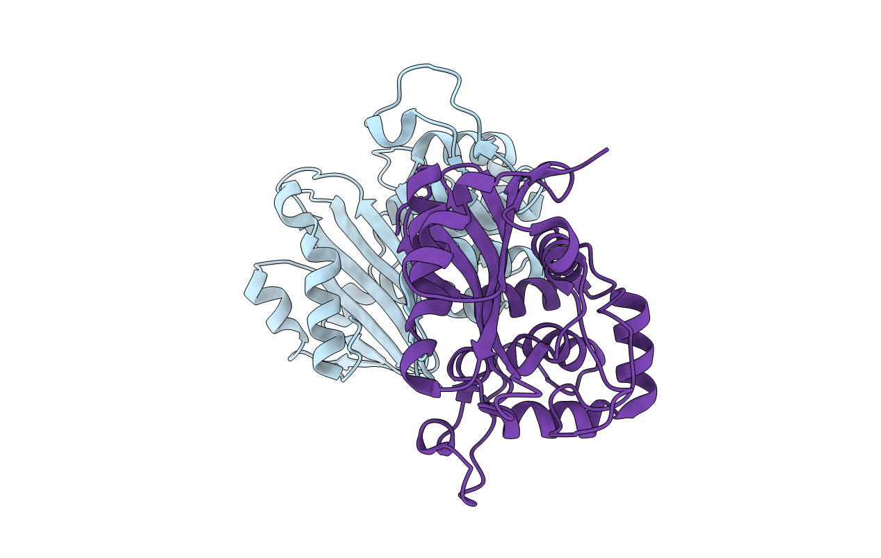 7L5V image