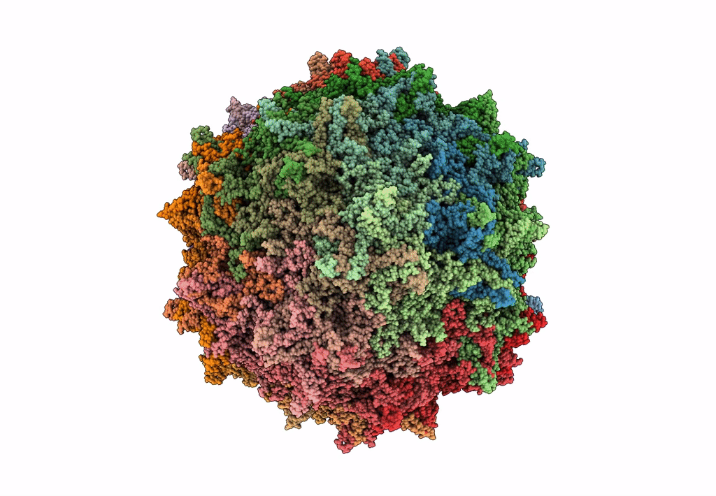 7L6H image