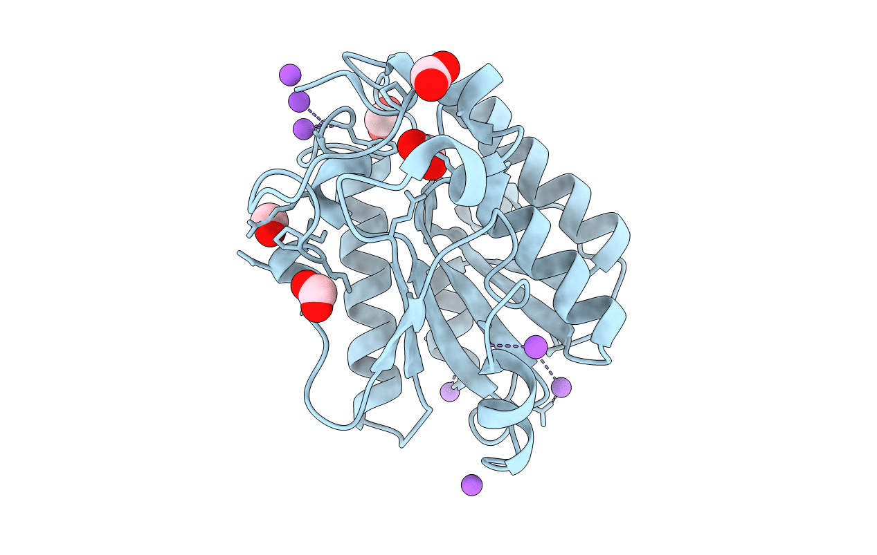 7L6J image