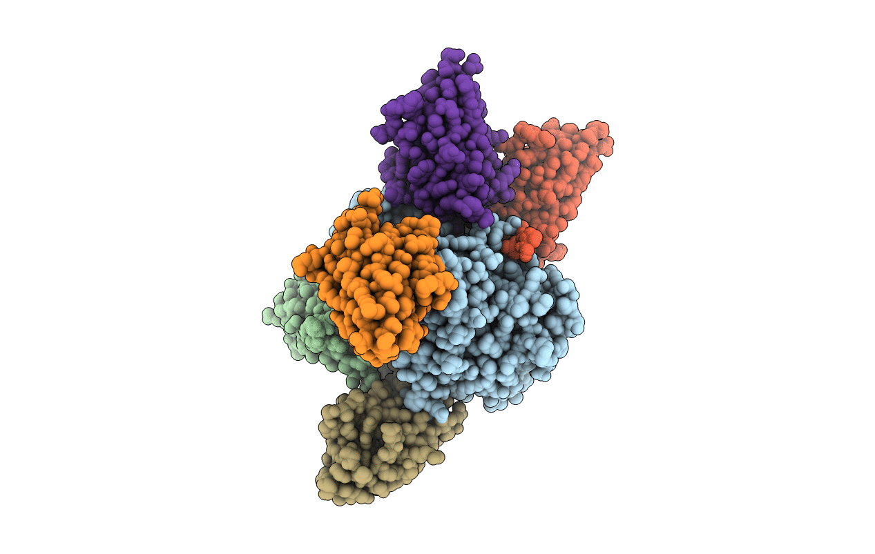 7L6V image