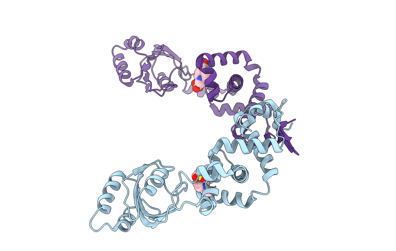 7L75 image