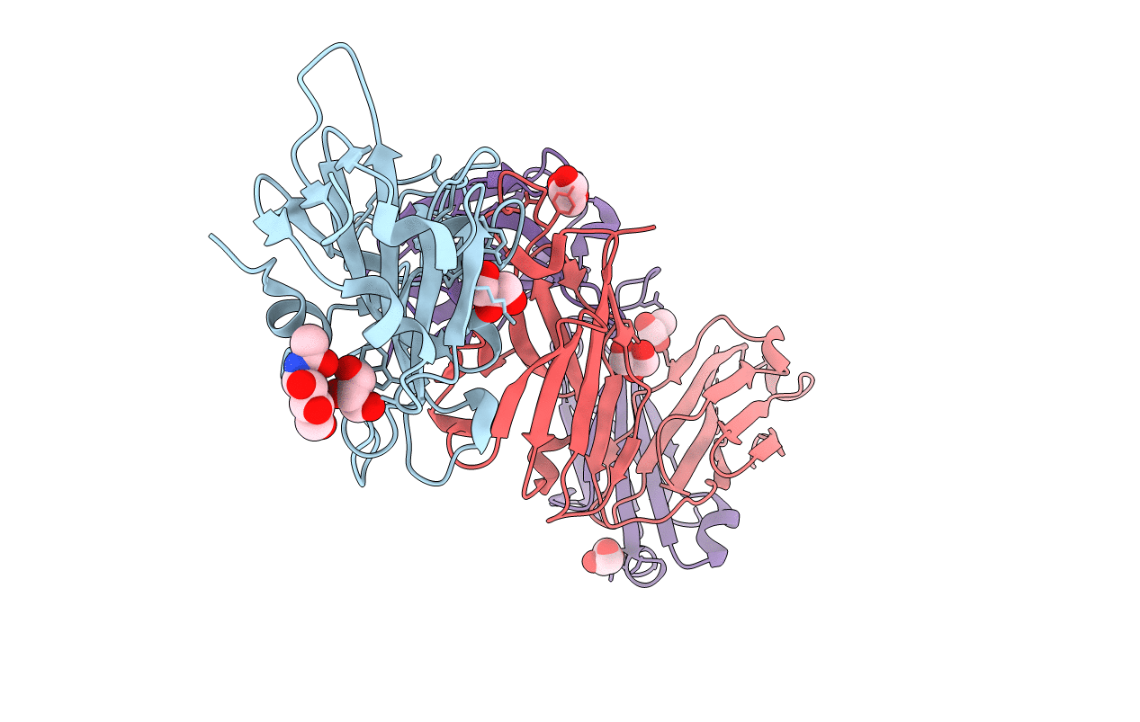 7L7D image