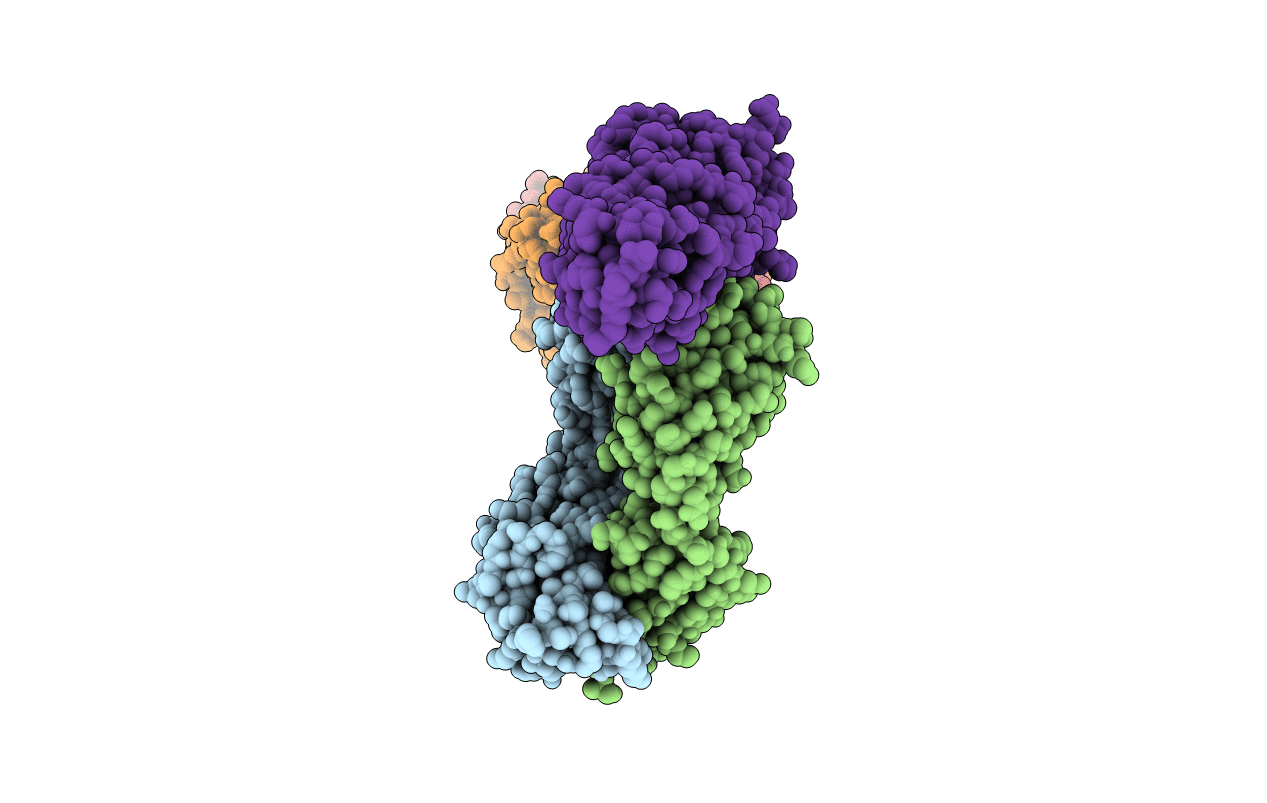 7L7R image