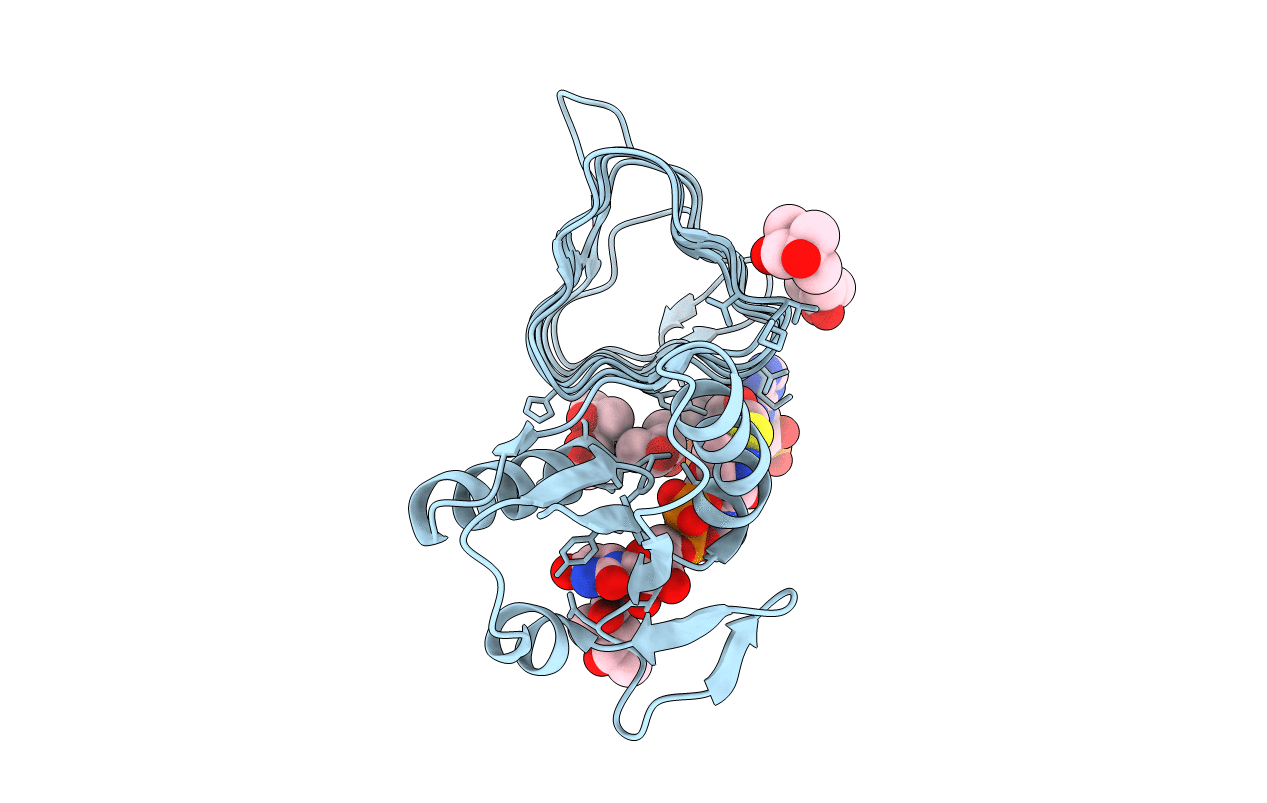7L81 image